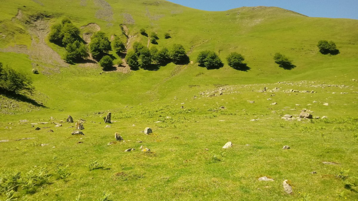 Adiko Soroa harrespila 5