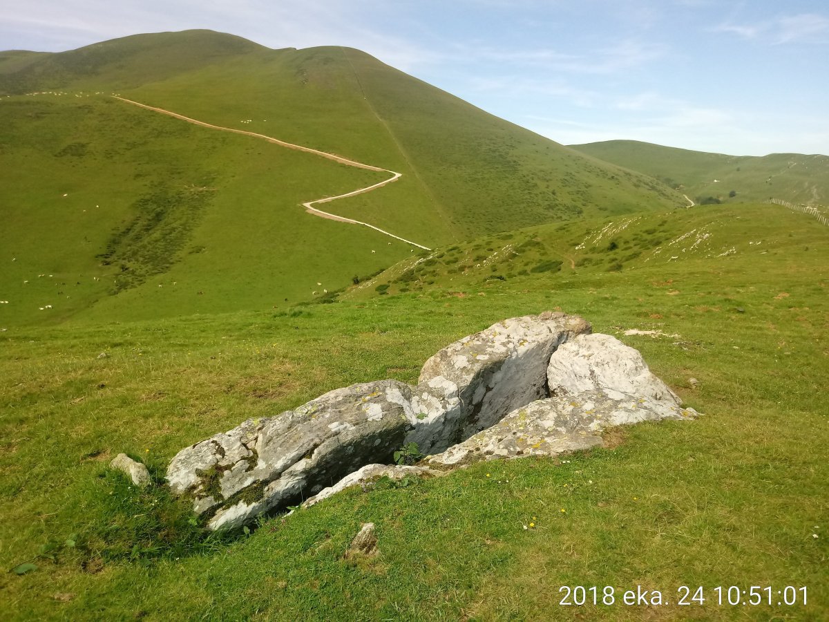 Pilotasoro trikuharria 4