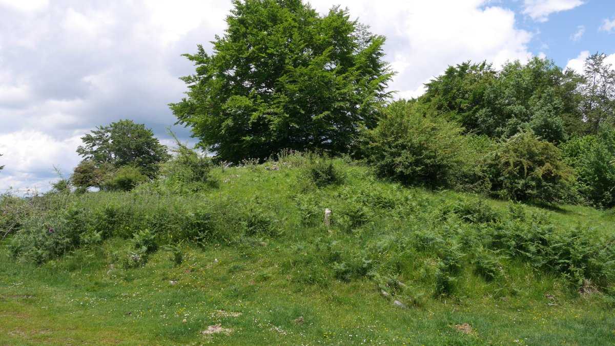 Goldanburu trikuharria 2018ko ekainean