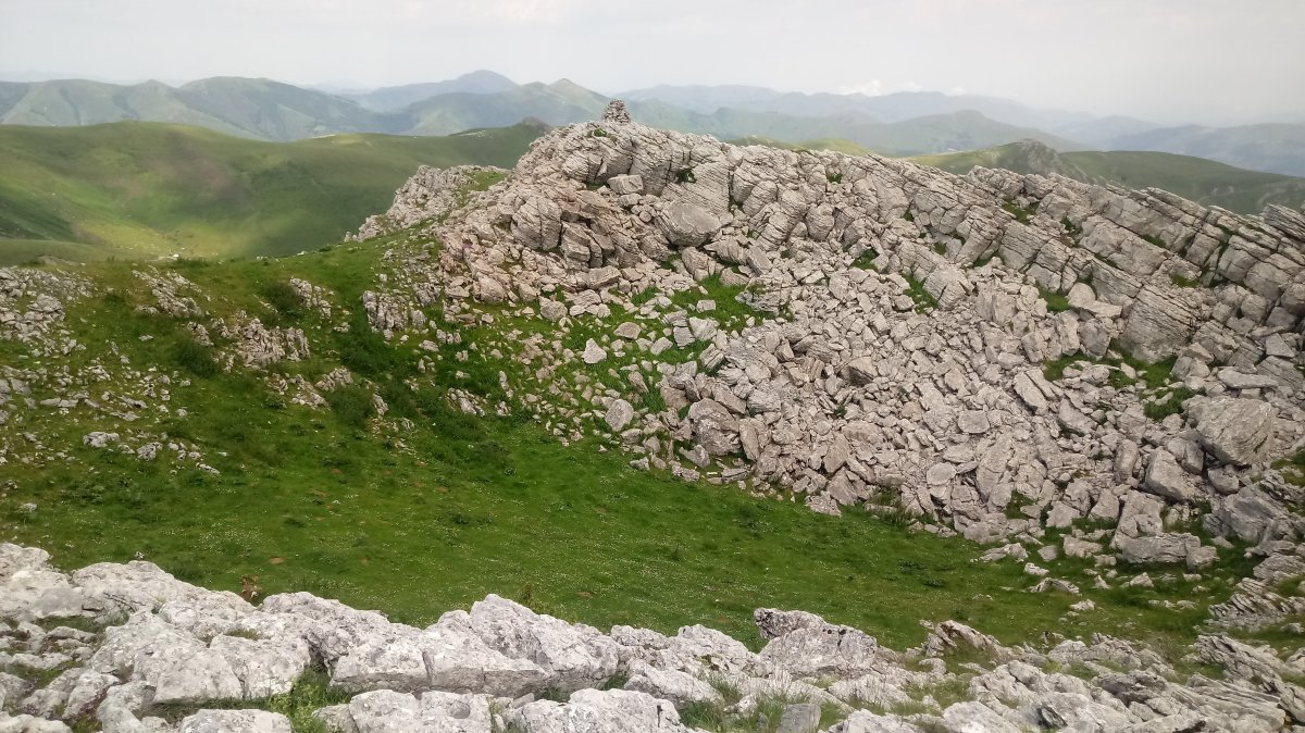 Urkulugibela, tontorra