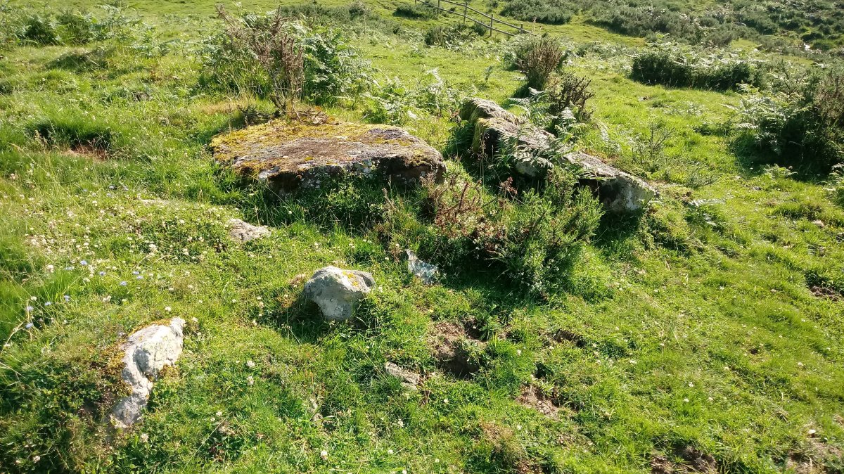 Azpegi II Ek. trikuharria 2