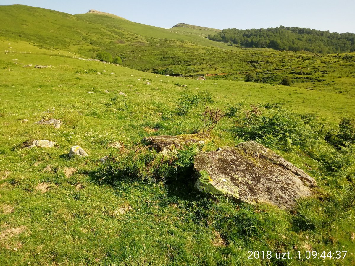 Azpegi II Ek. trikuharria (2018)