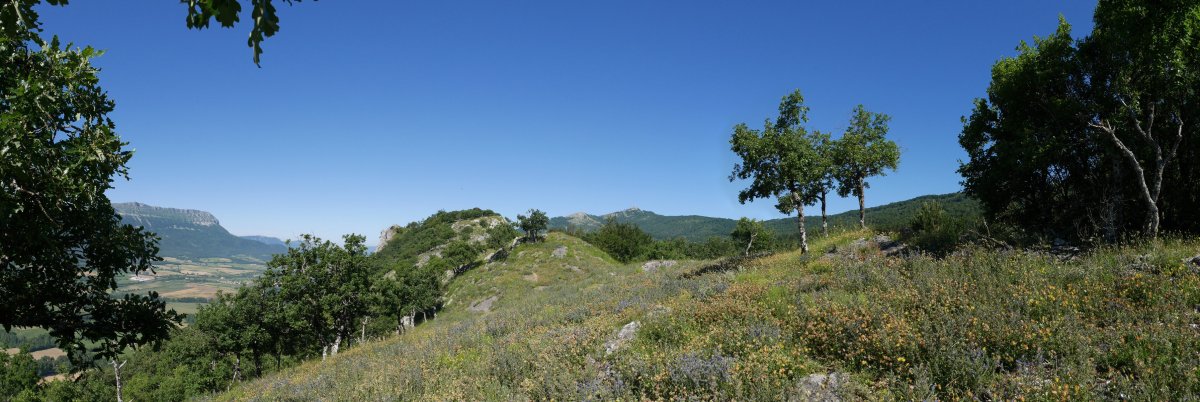 Gandorreko ikuspegia