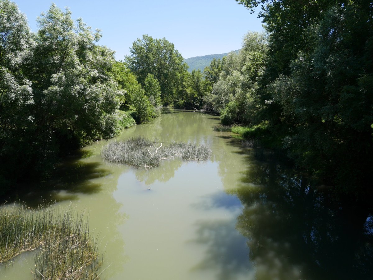 Arakil ibaia Hiriberriko zubitik