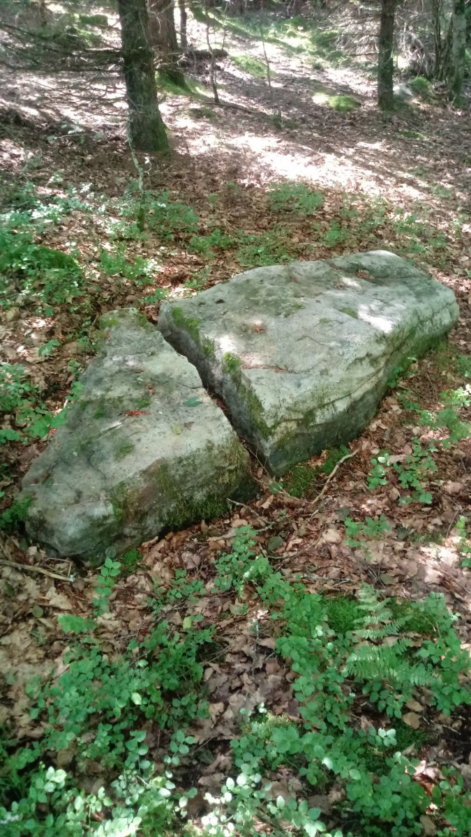 Irazteko Larrea zutarria 3