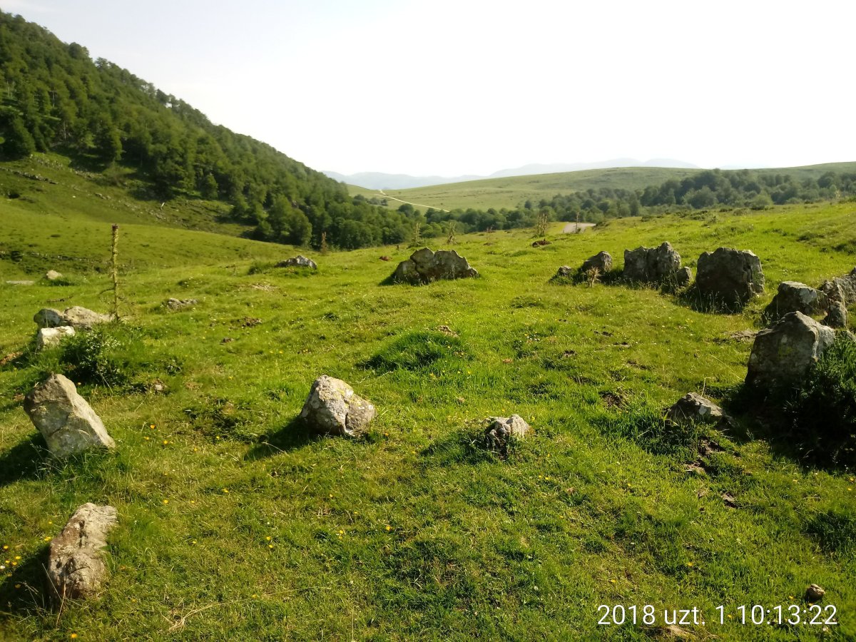 Azpegiko Lepoa harrespilak 5