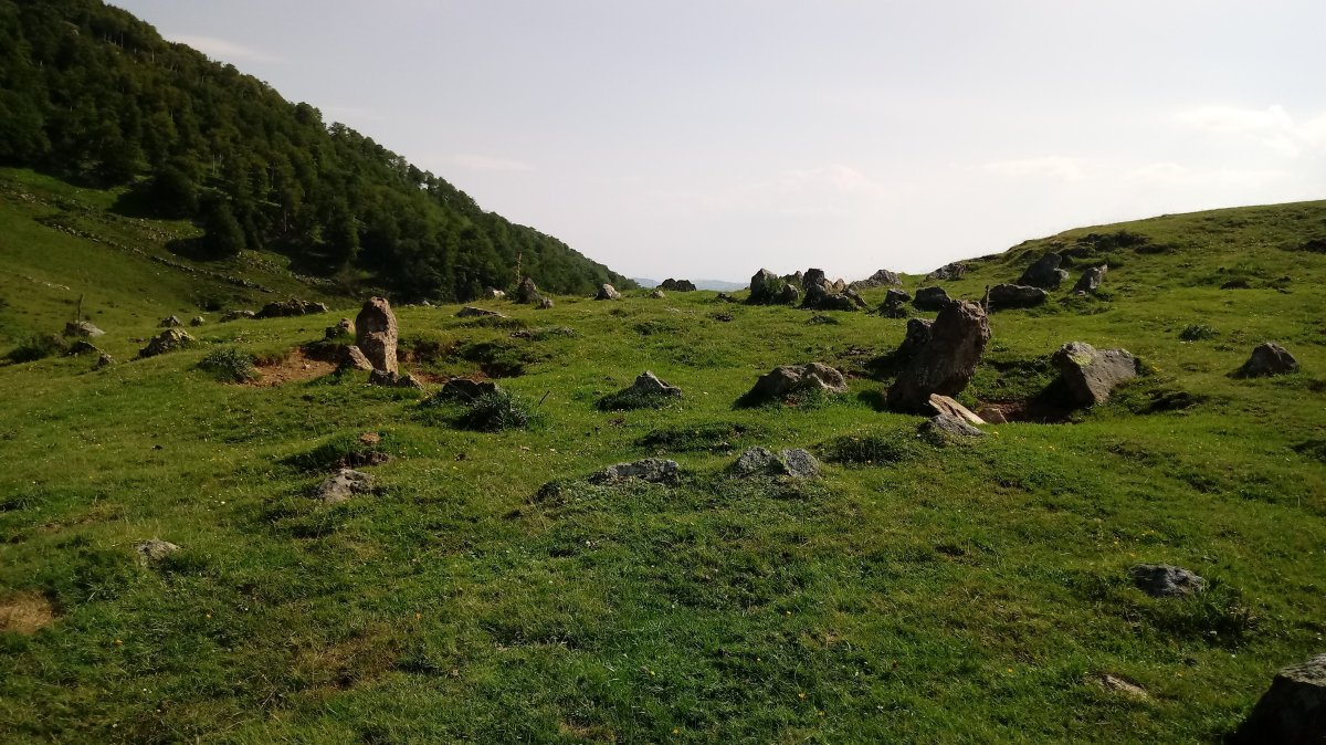 Azpegiko Lepoa harrespilak (2018)