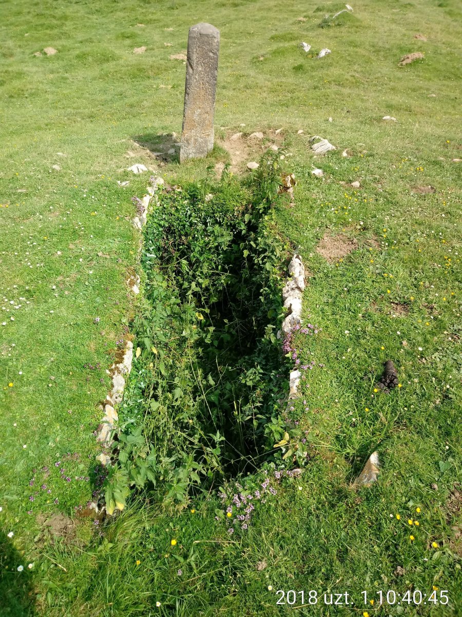 Organbide trikuharria (2018)