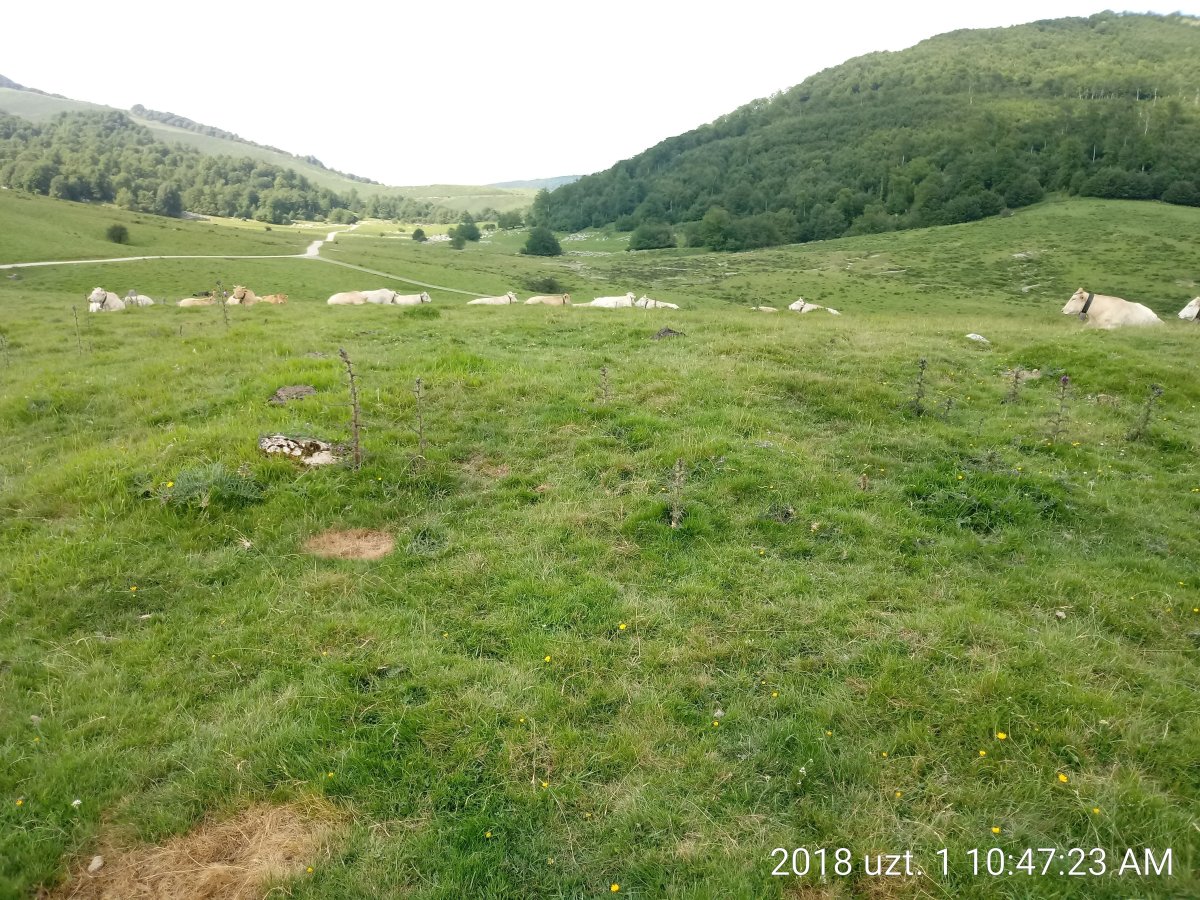 Idopil Ipar harrespila 2