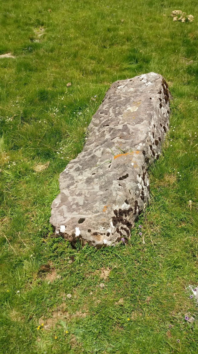 Otsarri II zutarria 2