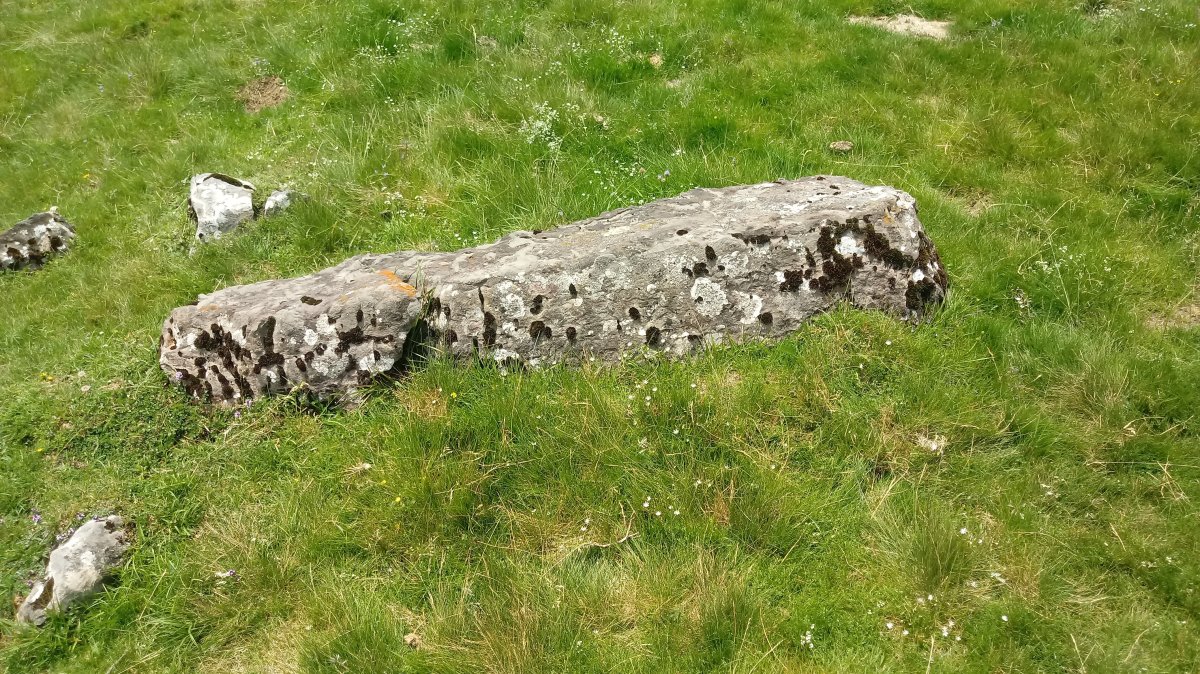 Otsarri II zutarria 1