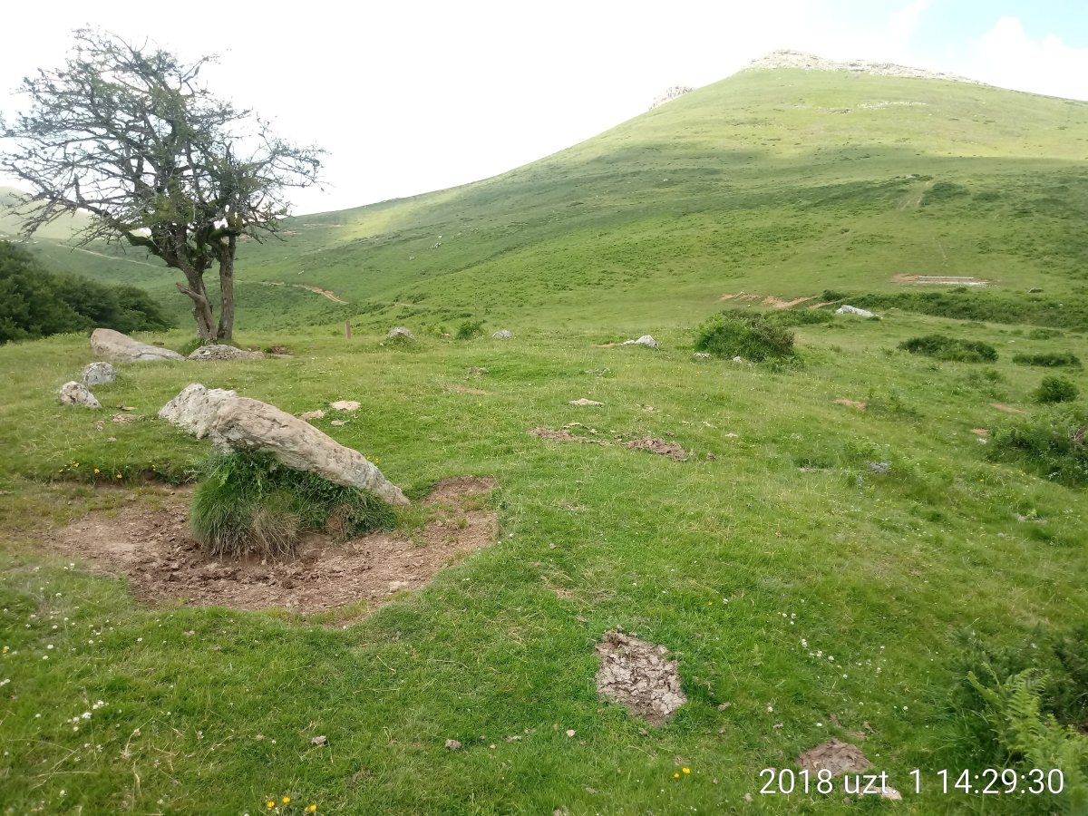 Soroluxe harrespila 4