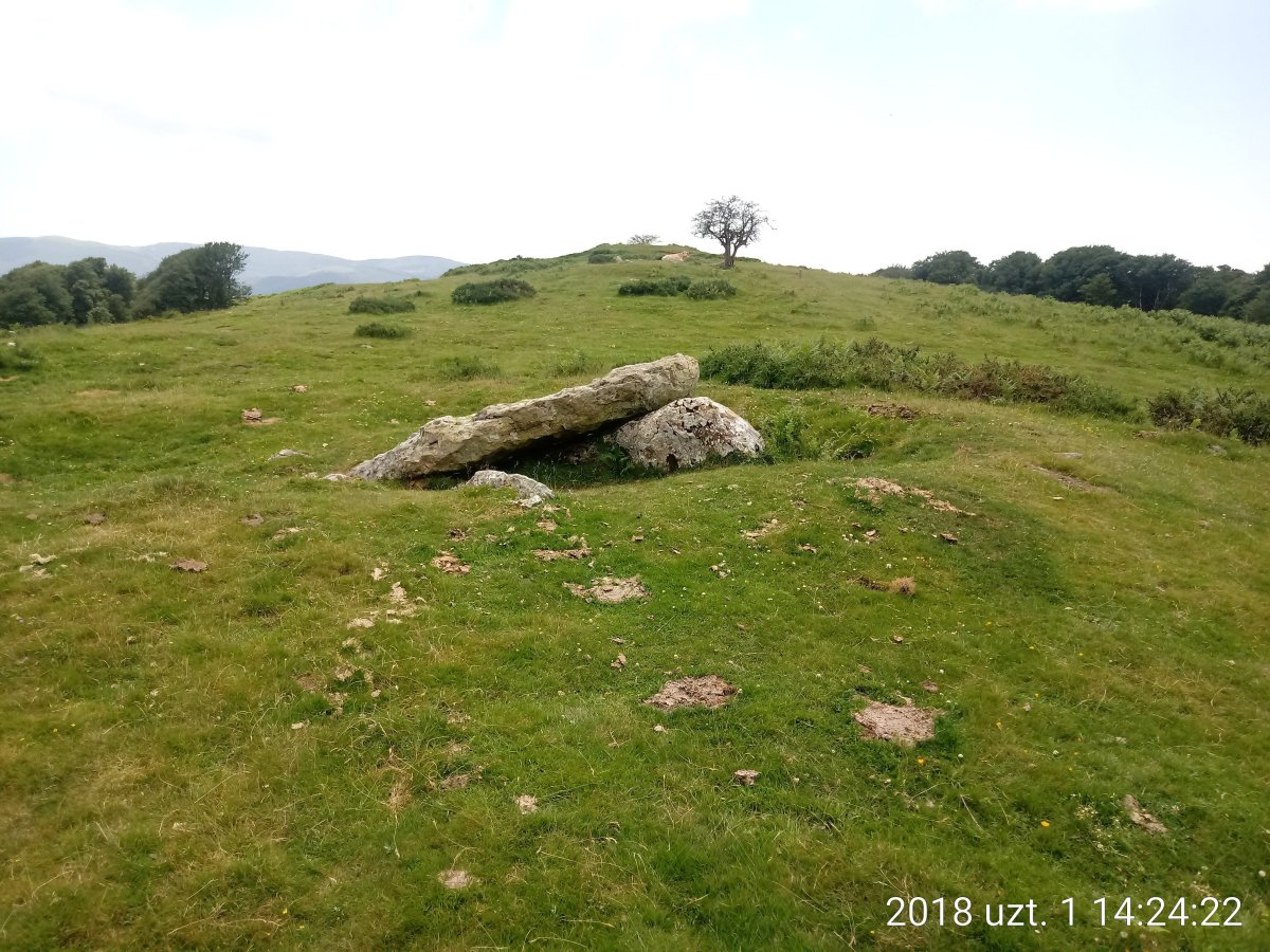 Soroluxe trikuharria (2018)