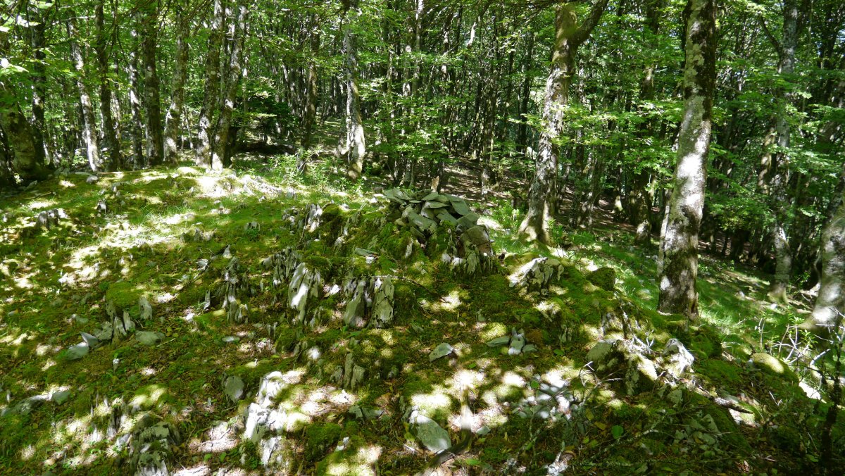 Iertzaundi/Irupagoeta tontorra