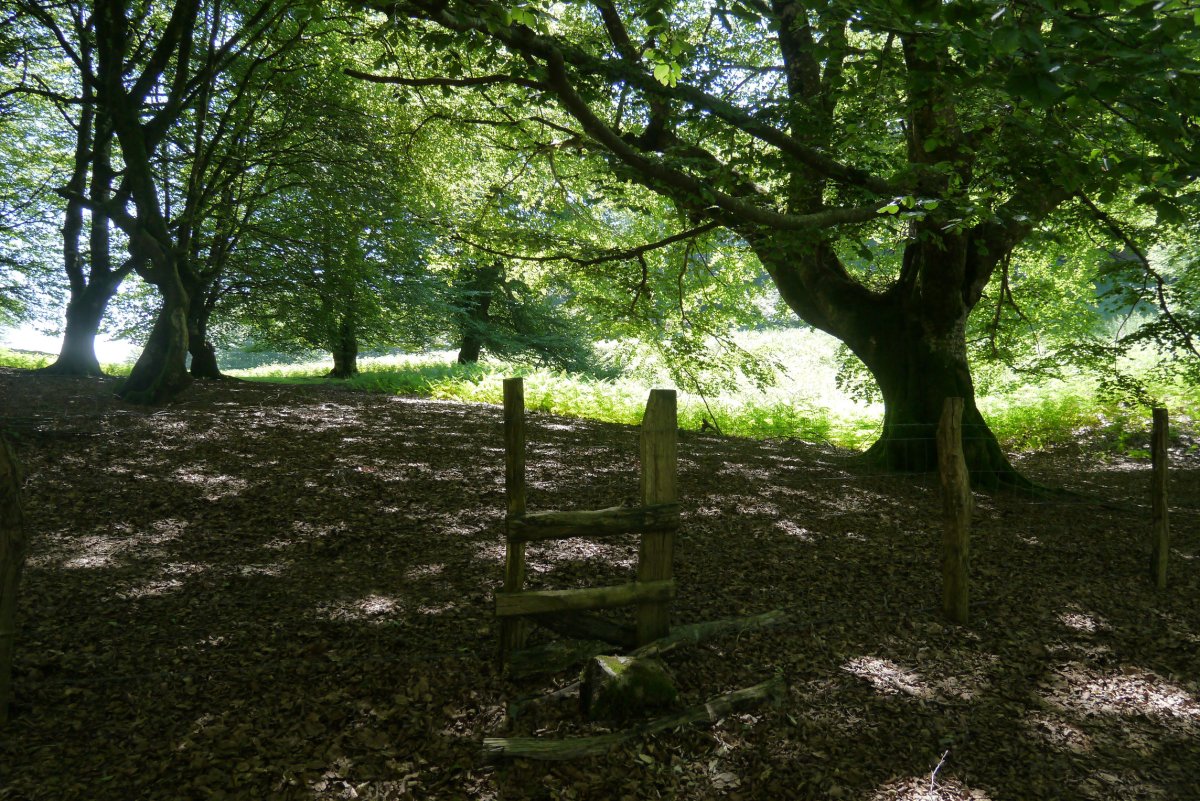 Okabio eta Axuste arteko lepoa