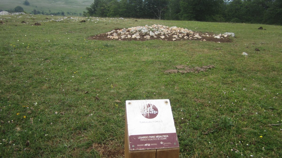 CampoTumular Mendiluze Túmulo nº 1 (Junio 2018)