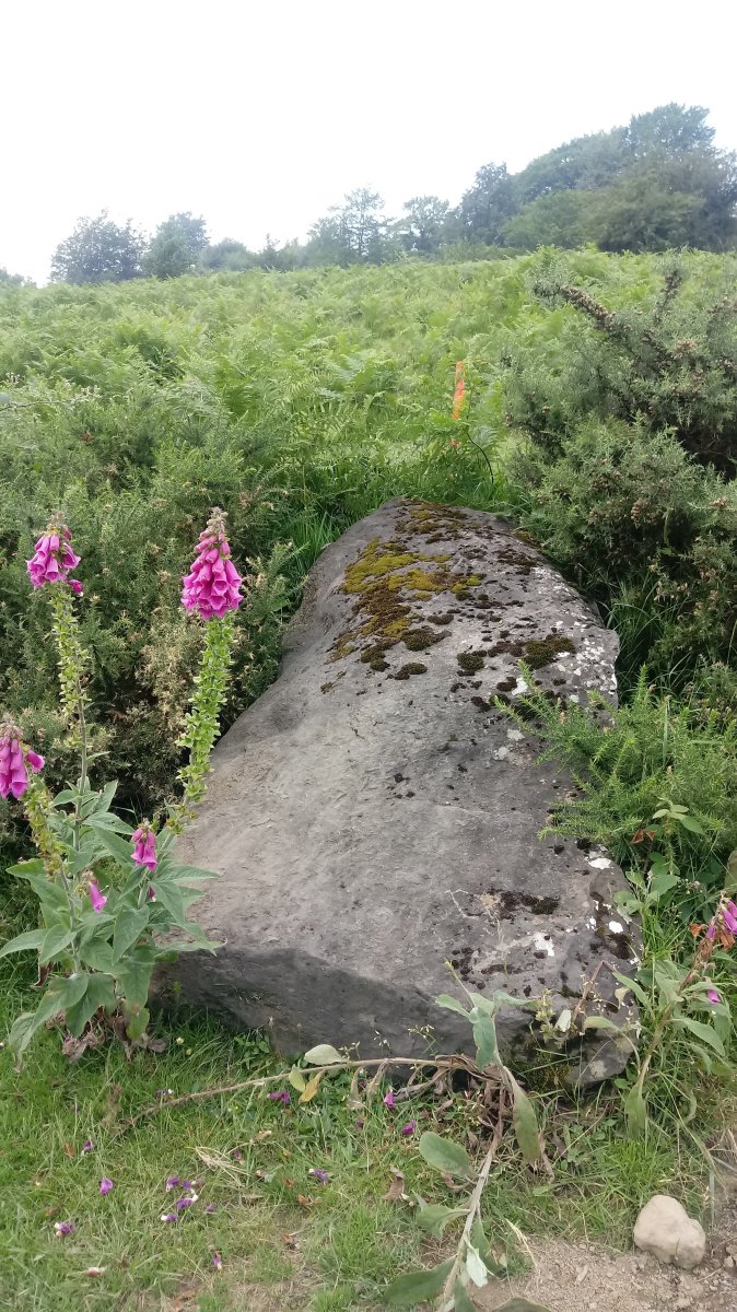 Nabarbide zutarria 2