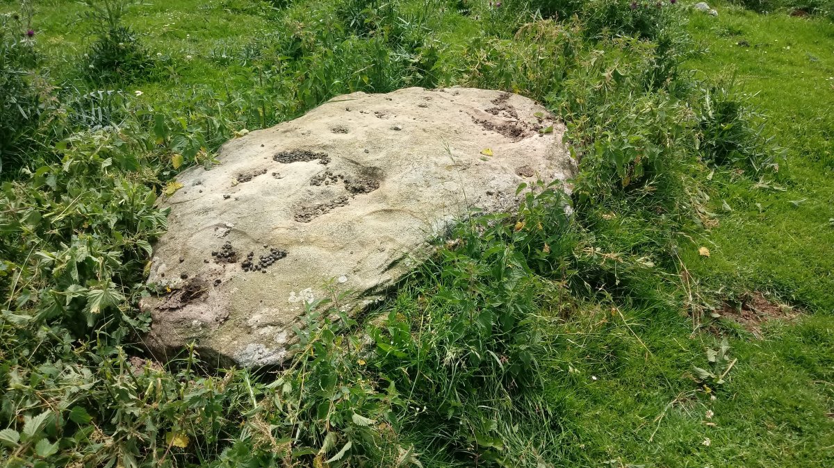 Jentilarri zutarria (2018).jpg