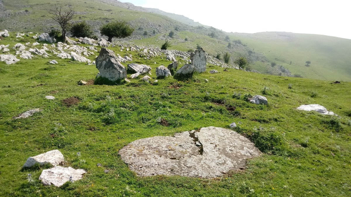 Uelogoena I Ip. trikuharria (2018)