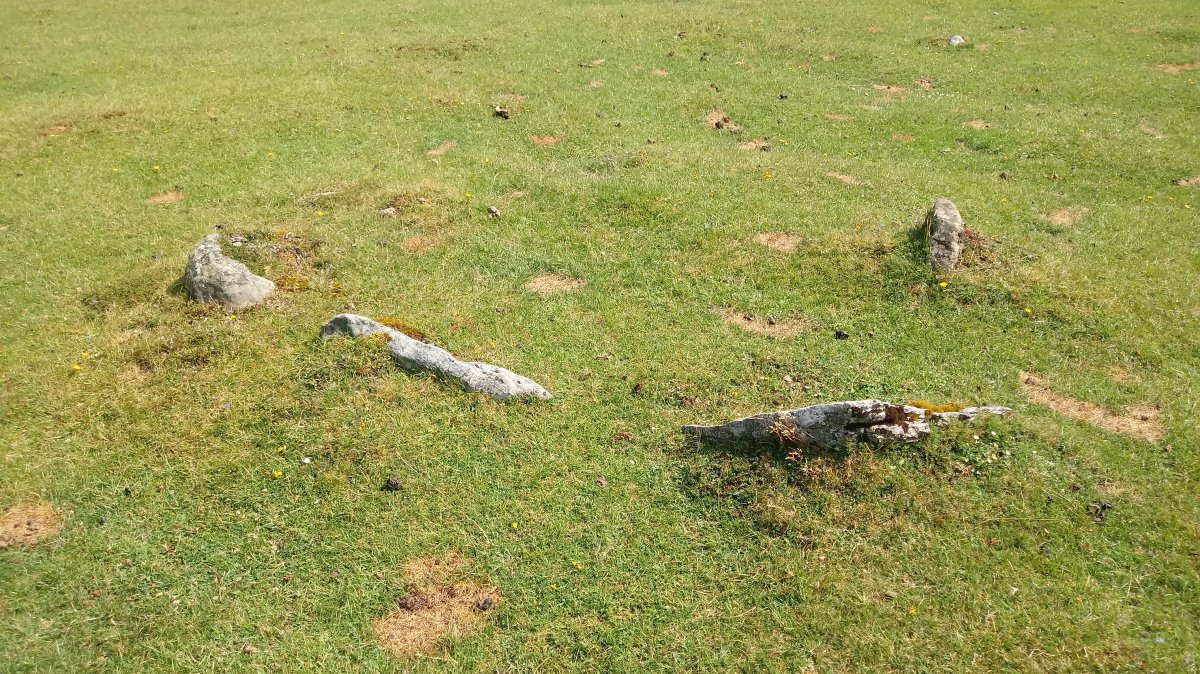 Zelaibizkar I harrespila 2