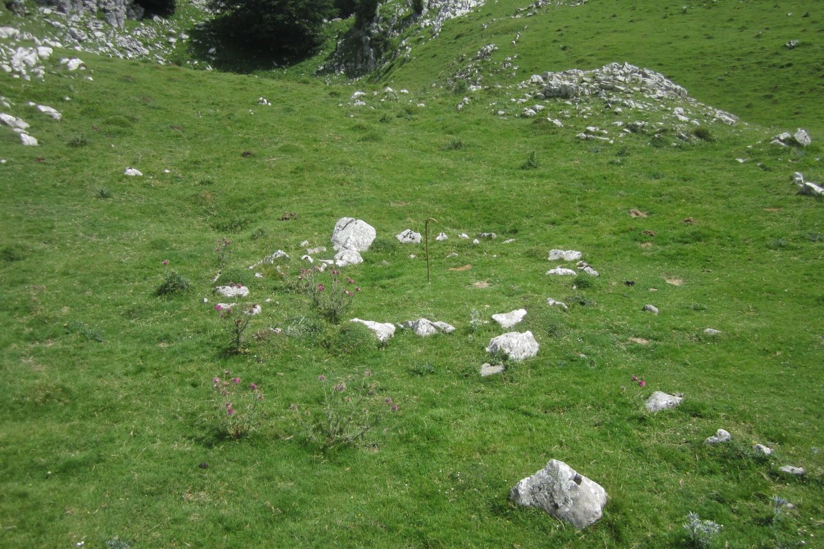 Cromlech Alborta  (Julio 2018)