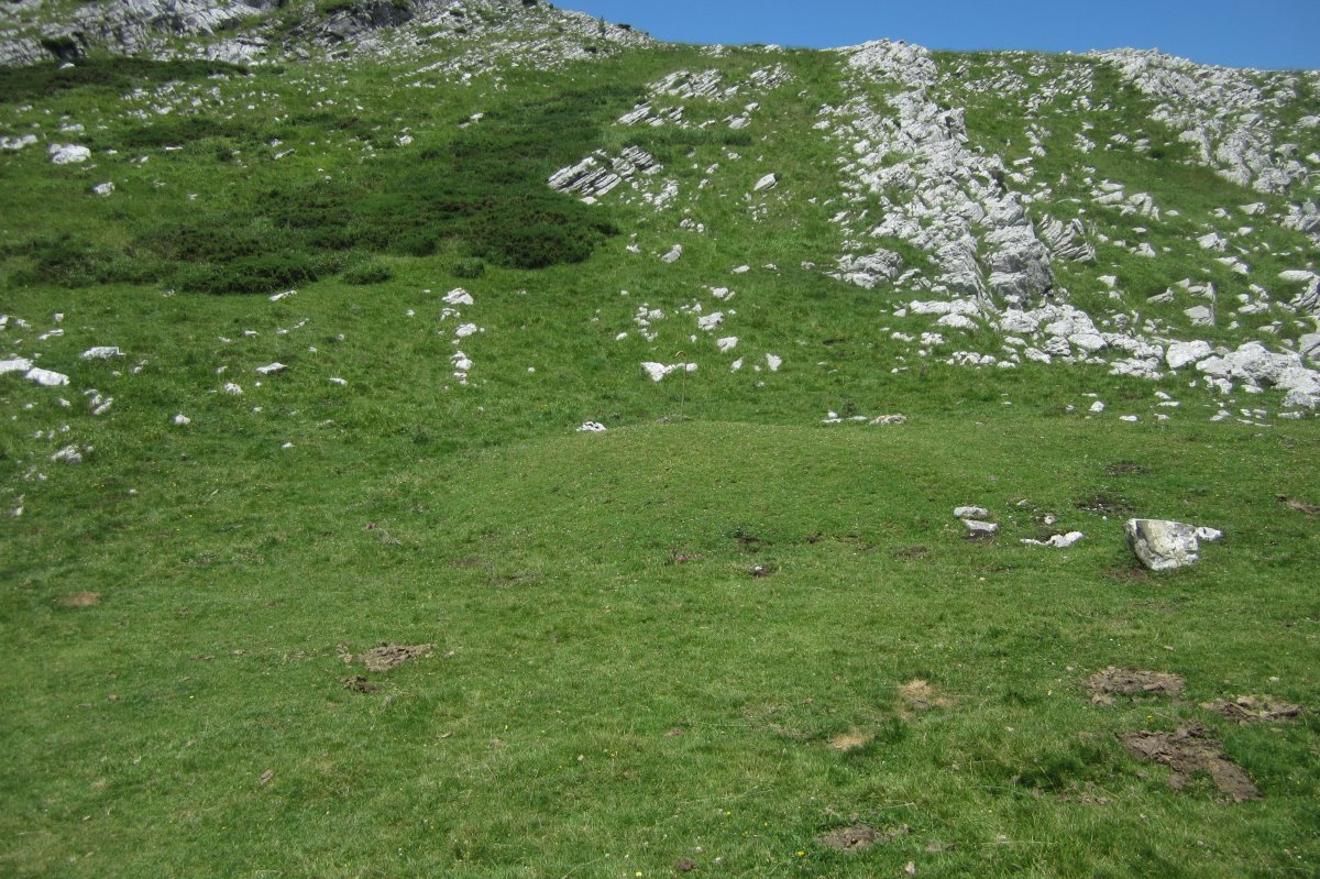 Fondo de Cabaña Algorta  (Julio 2018)