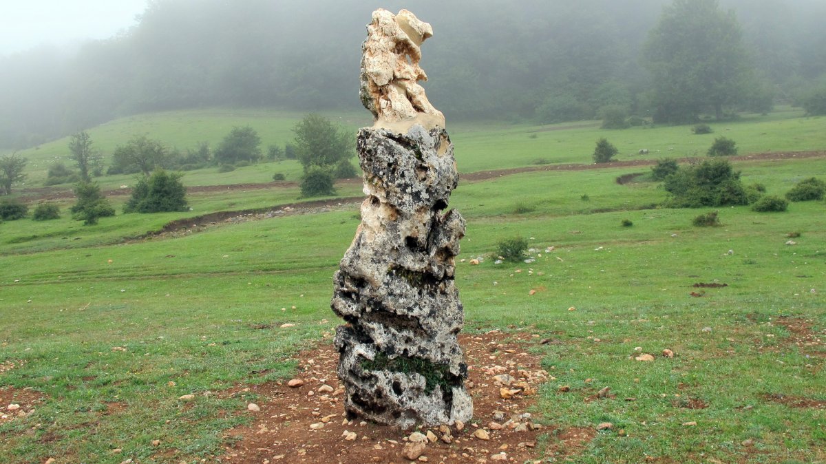 Legaire 5 Sur zutarria, Entzia