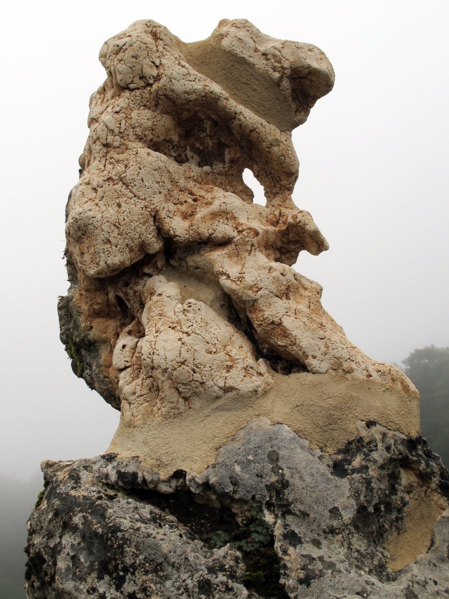 Legaire 5 Sur zutarria, Entzia