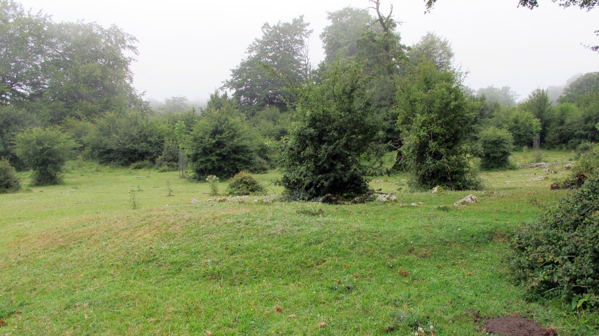 Legaire hego 2 etxola hondoa, Entzia