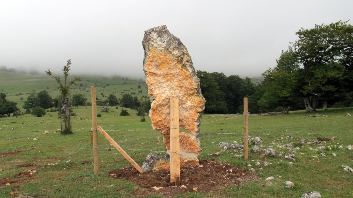 Mendiluze zutarria, Entzia