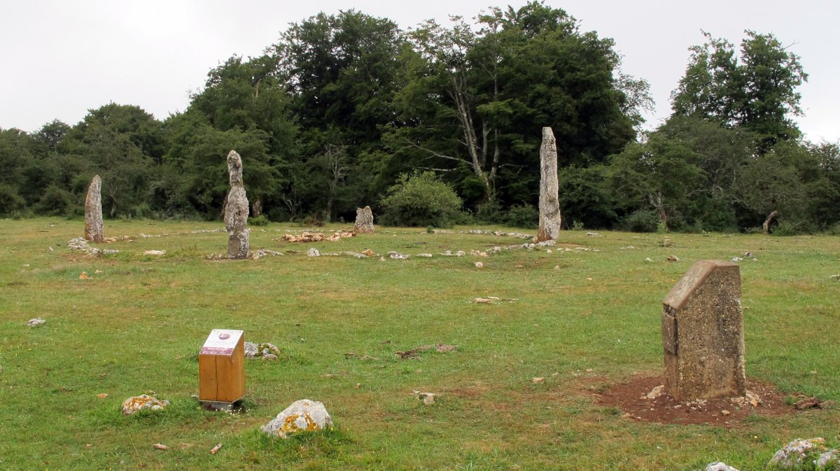 Mendiluze harrespila, Entzia