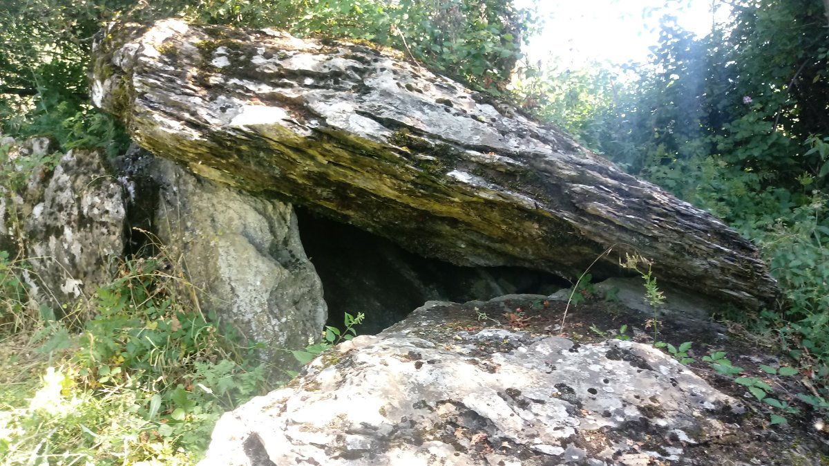 Sakulo trikuharria 3