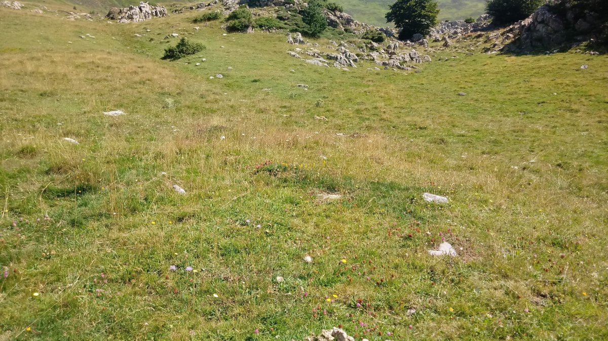 Eskilzarra II tumuloa 2