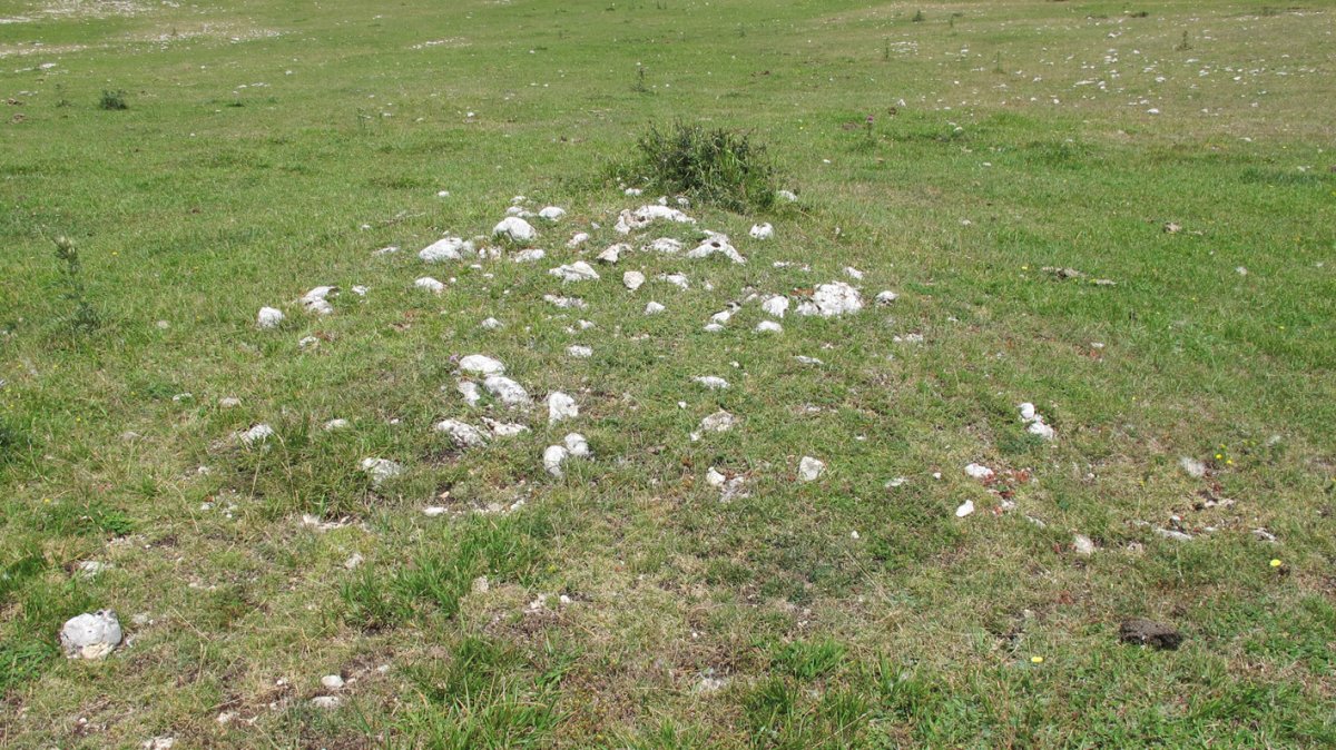 Surbe 1 este tumulua, Entzia