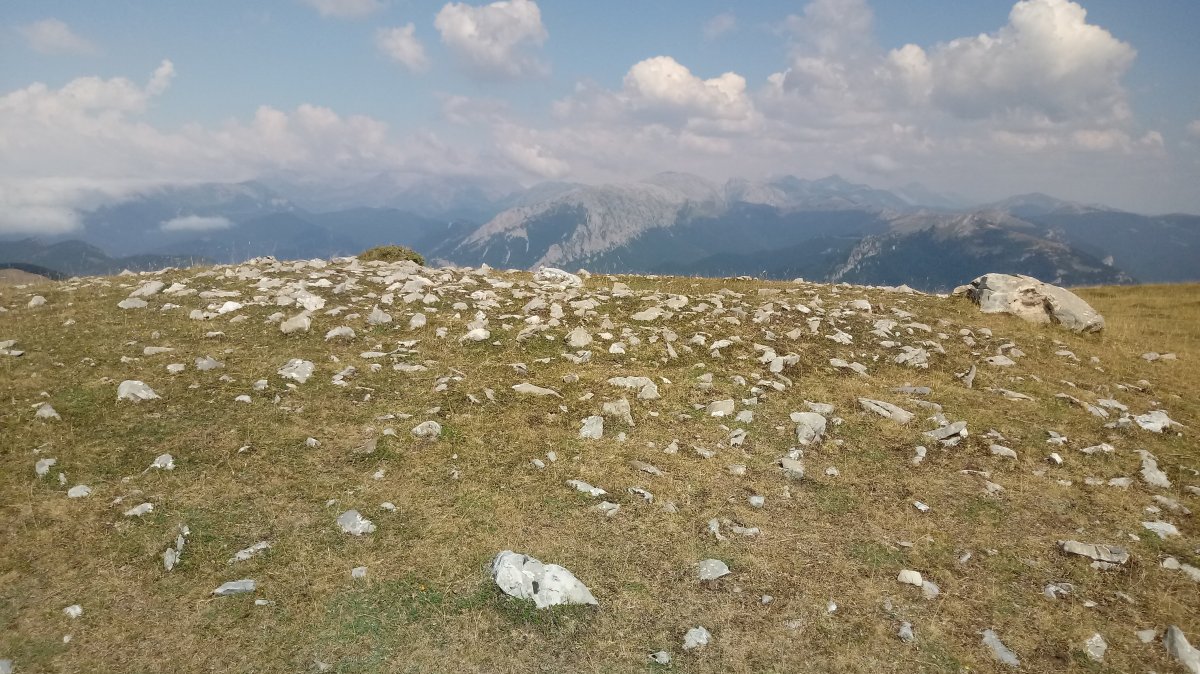 Largintia-Kakueta trikuharria 3