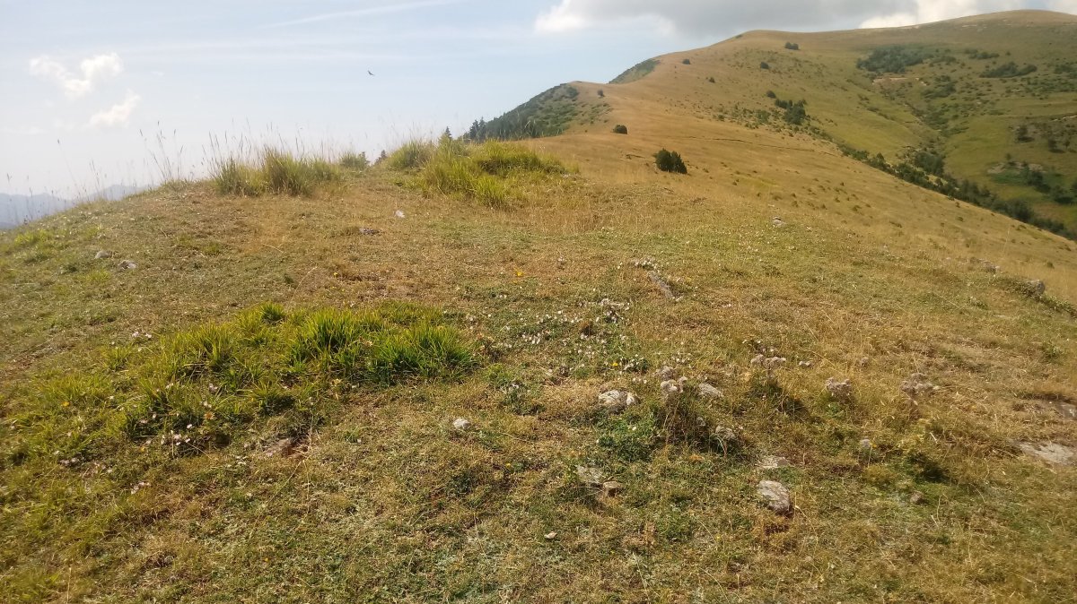 St. Barbara trikuharria (2018)