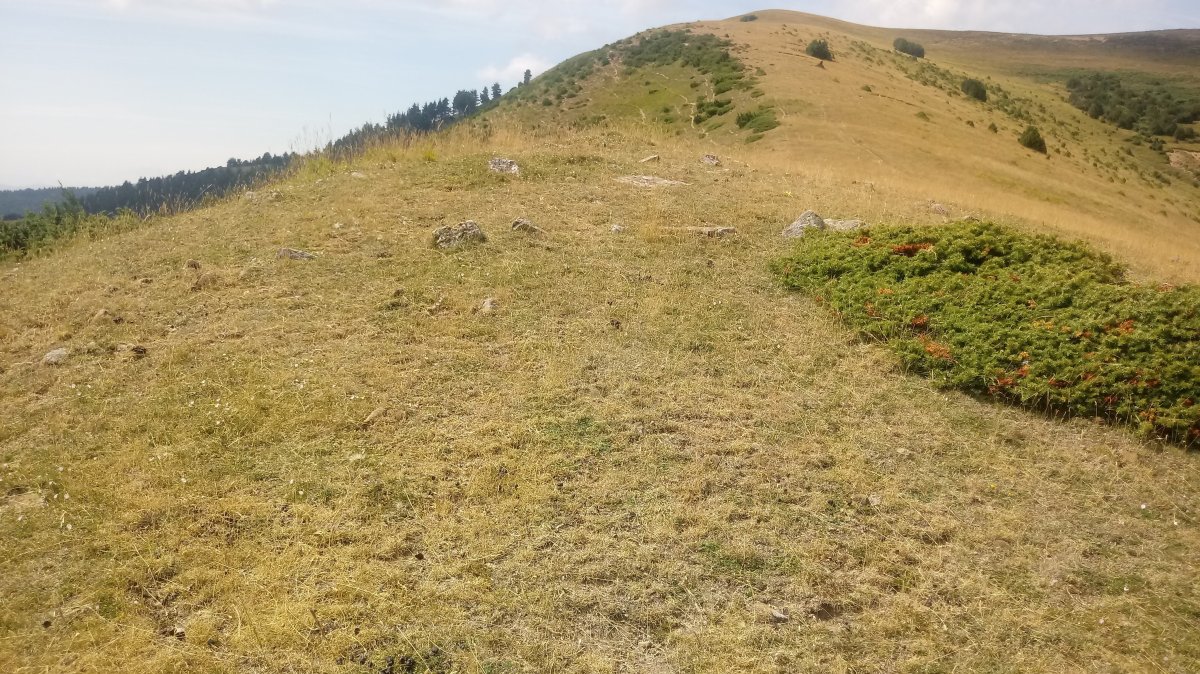 St. Barbara tumuloa (2018)