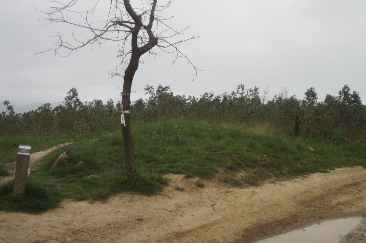 Túmulo Saierrokolanda II   (Abril 2018)