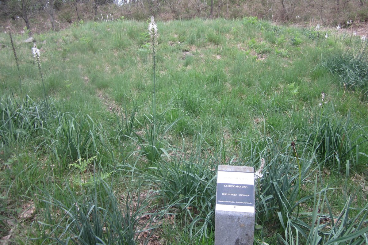 Dólmen Goikogana (M2)  Abril  2018