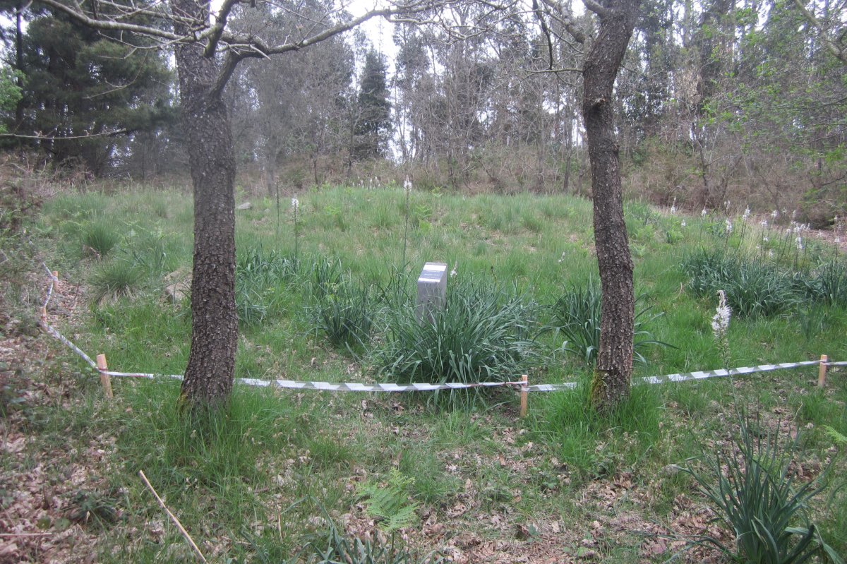 Dólmen Goikogana (M2)  Abril  2018