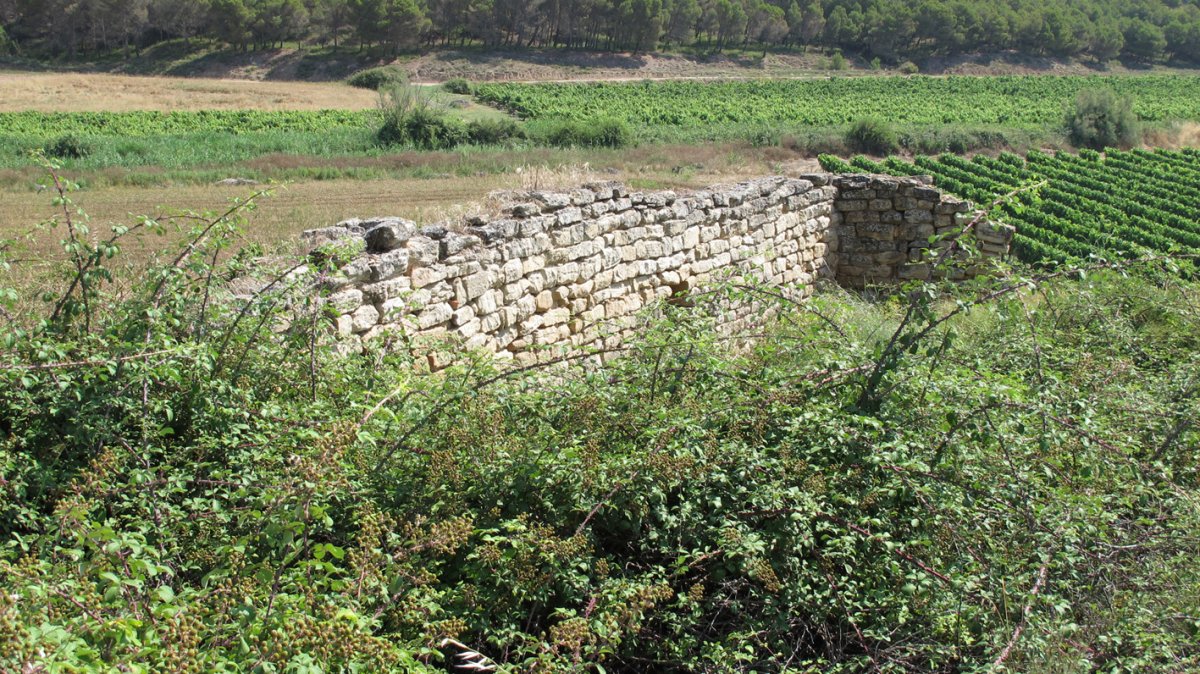 San Roman ermitaren hondakinak, Viana