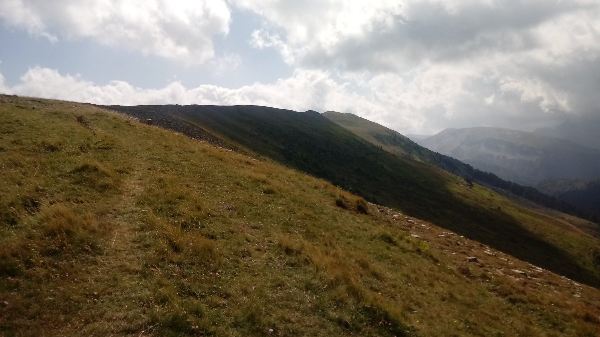 Txamantxoia gainaldea