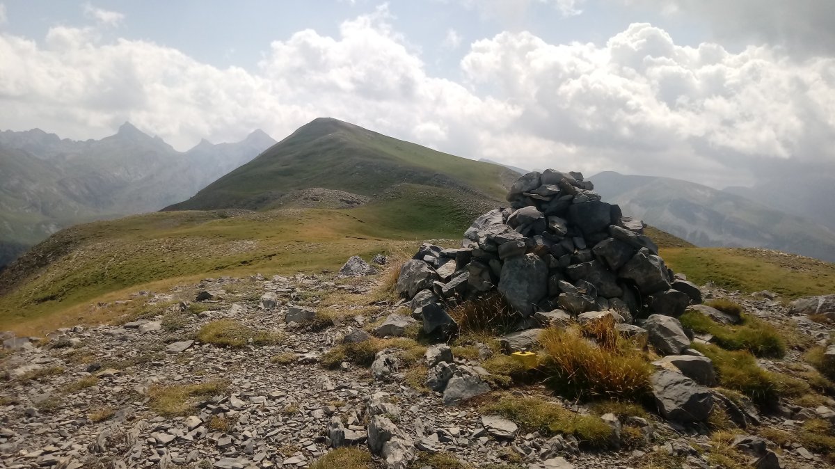 Txamantxoia tontorra urrunean