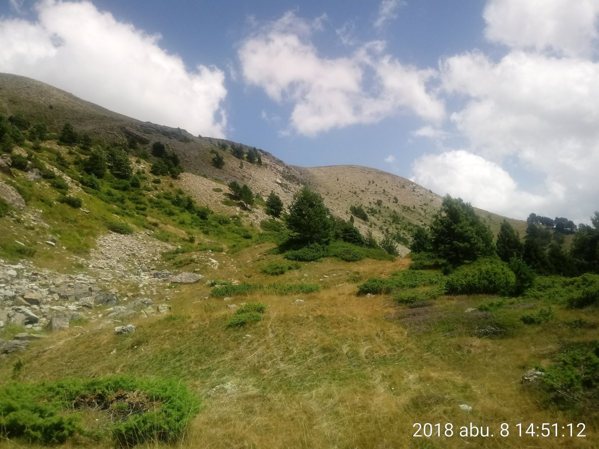 Txamantxoia hegoaldea