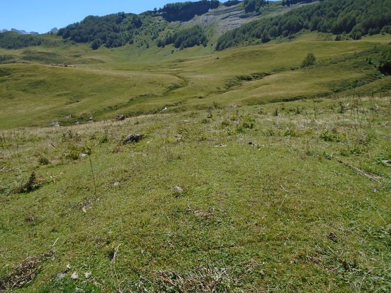 Besse etxola hondoa-4