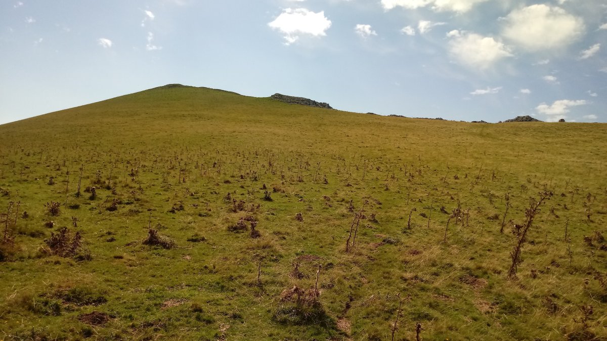 Hauzkoa (1268m) azken zatian