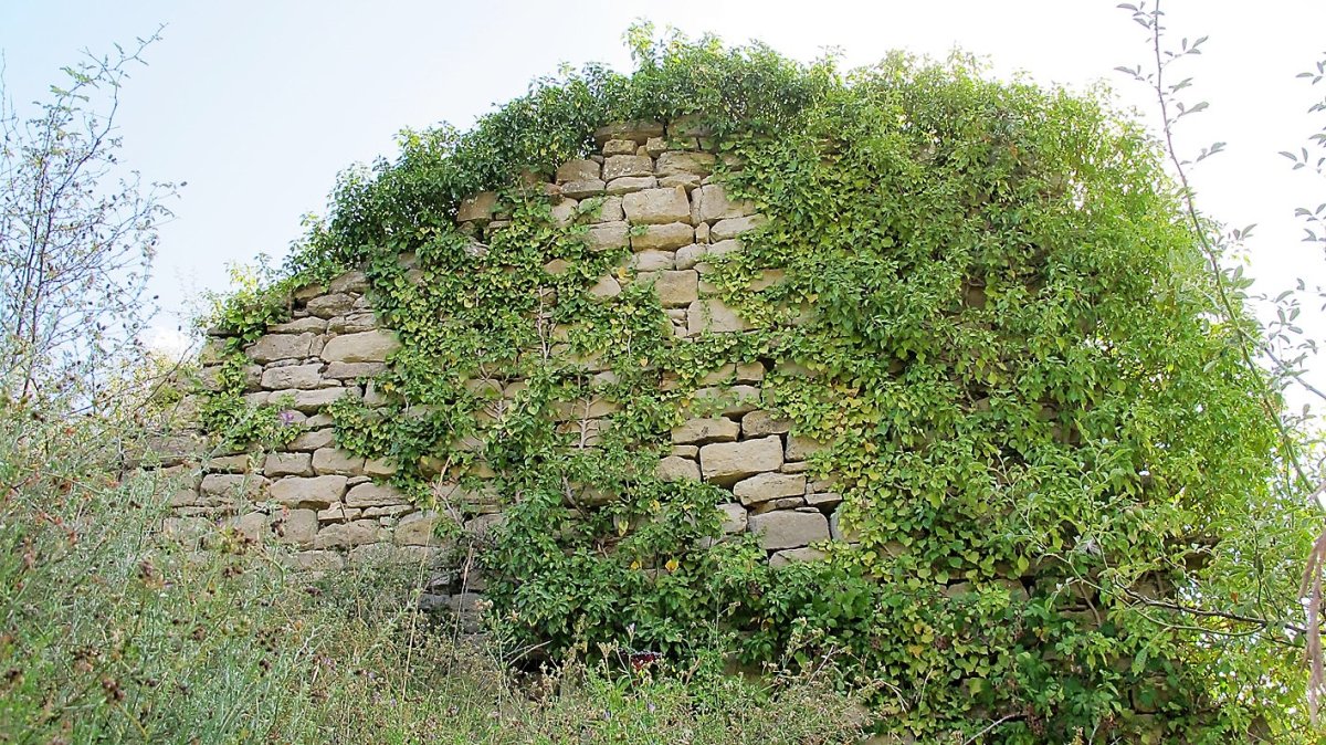 Santa Luzia ermitaren hondakinak, Bargota