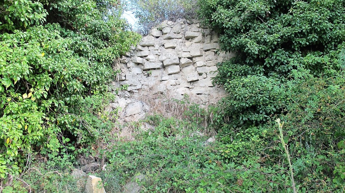 Santa Luzia ermitaren hondakinak, Bargota