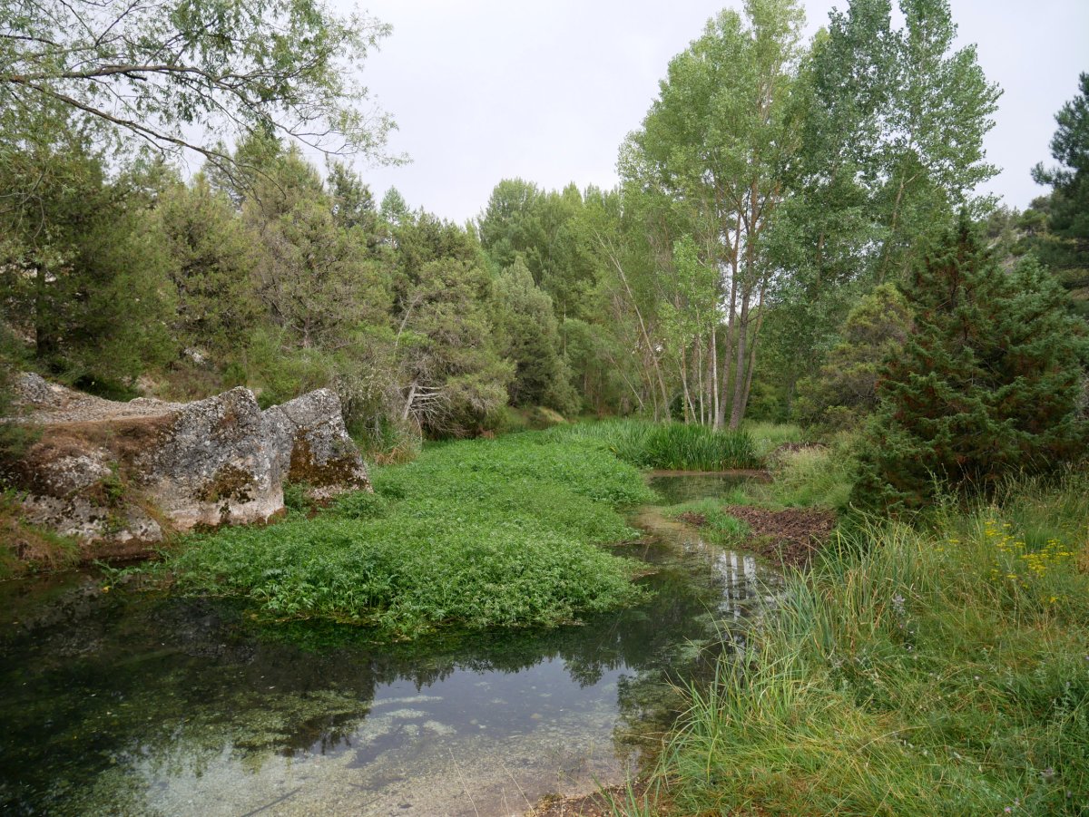 Abión ibaiaren hastapenak, La Fuentona de Muriel