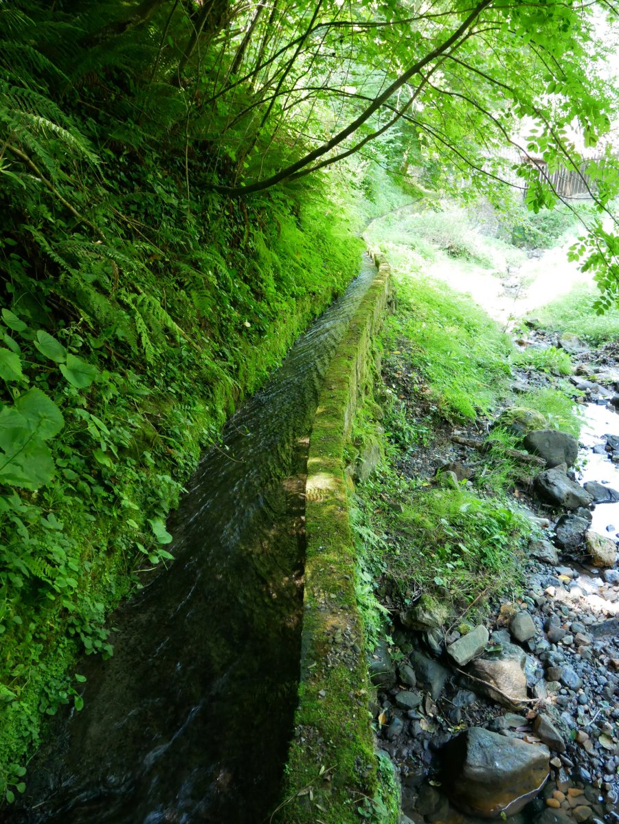 Errotaren ubidea, Dorletako gatzaga, Leintz Gatzaga